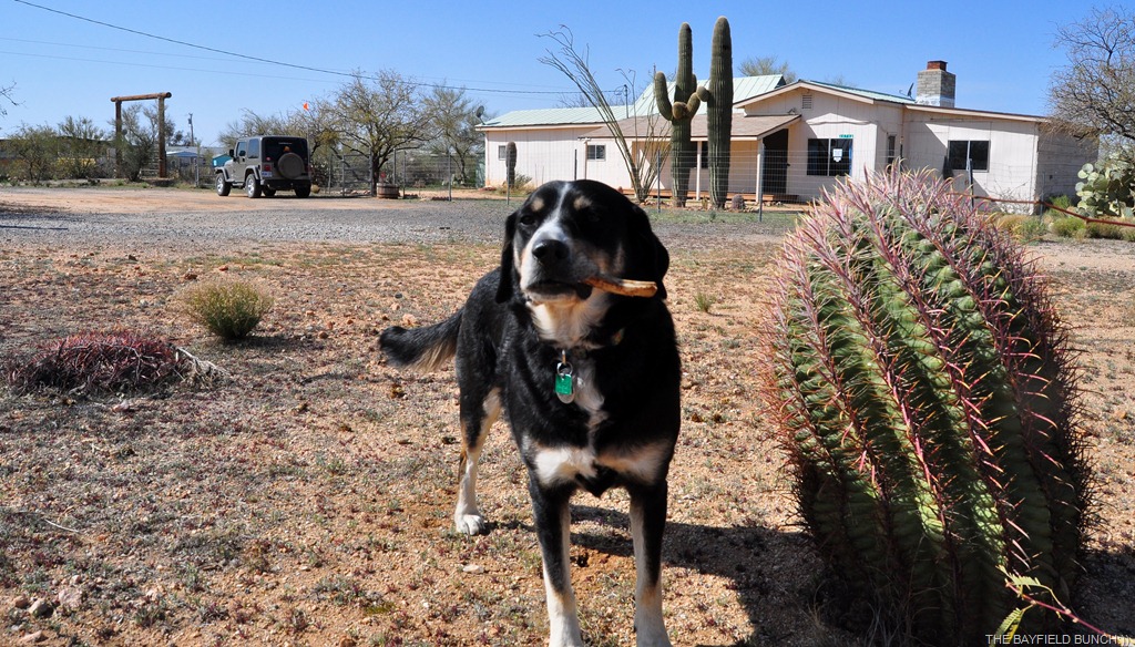 [DSC_0016%255B4%255D.jpg]