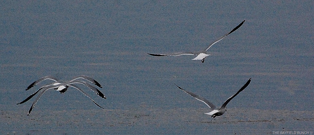 [DSC_5955%255B4%255D.jpg]