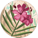 Image Google de Justine H