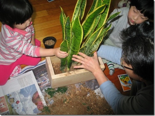 Gallery3949_7