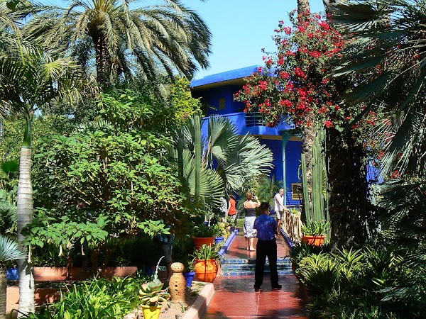 Imagini Marrakech: Jardin Majorelle 