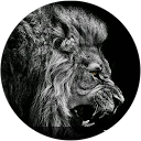 Little Sexys profile picture