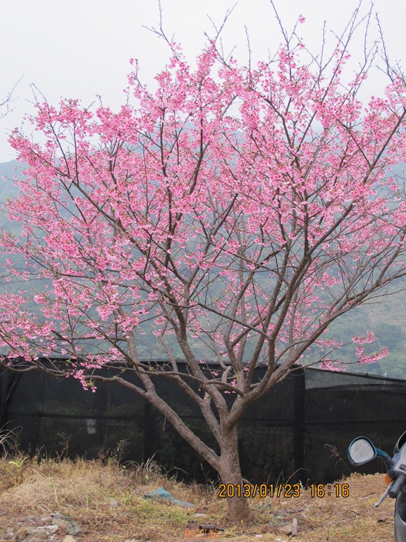 [s%25C3%2581W42%25C3%25B7%25C3%2592%25C3%25BB%2520-%2520026%255B5%255D.jpg]