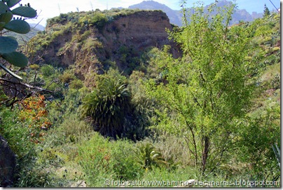 2725 Cañadón Jierro 2725 Cañadón Jierro