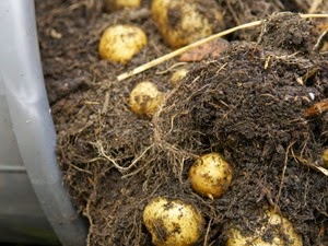 [clip_image006%255B3%255D.jpg]