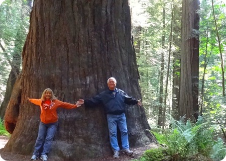 Not nearly as big as theSequoia.
