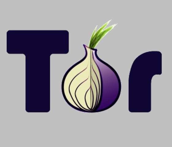 [Tor-Project%255B4%255D.jpg]