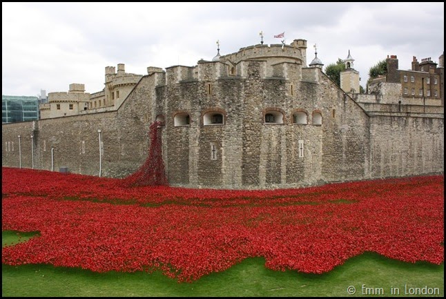 The outer Tower and the poppies