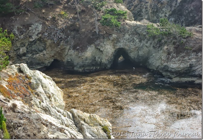 View from Bird Island Trail, Point Lobos, California