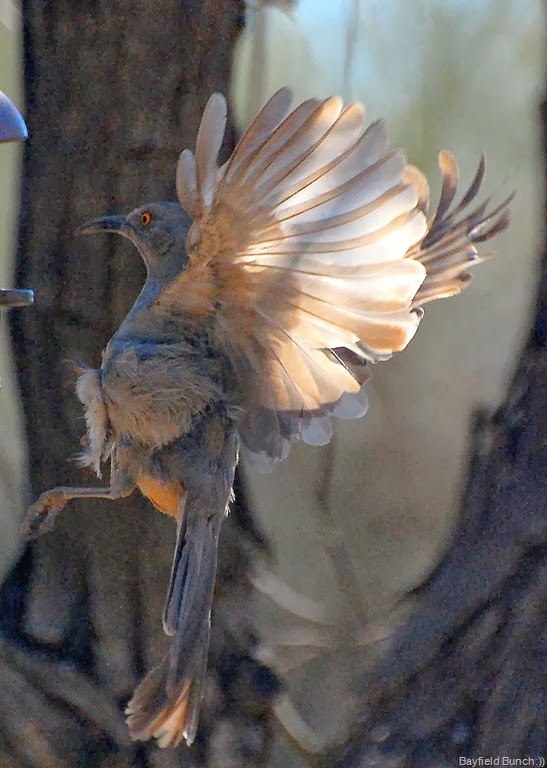 [DSC_8301%255B5%255D.jpg]