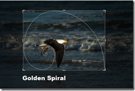golden spiral cropping overlay in lightroom