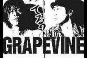 GRAPEVINE