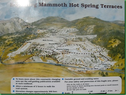Mammoth Hot Springs Terraces (8)