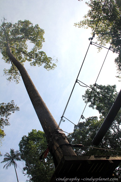 [SkyTrex224.jpg.webp]