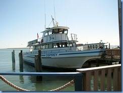 6841 Texas, South Padre Island - Pier 19 - Osprey Cruises Sea Life Safari