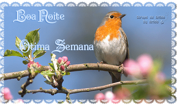 senete-7.gif