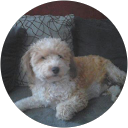 Image Google de Marie Lecrivain