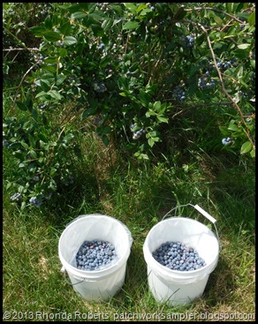 Blueberry Buckets