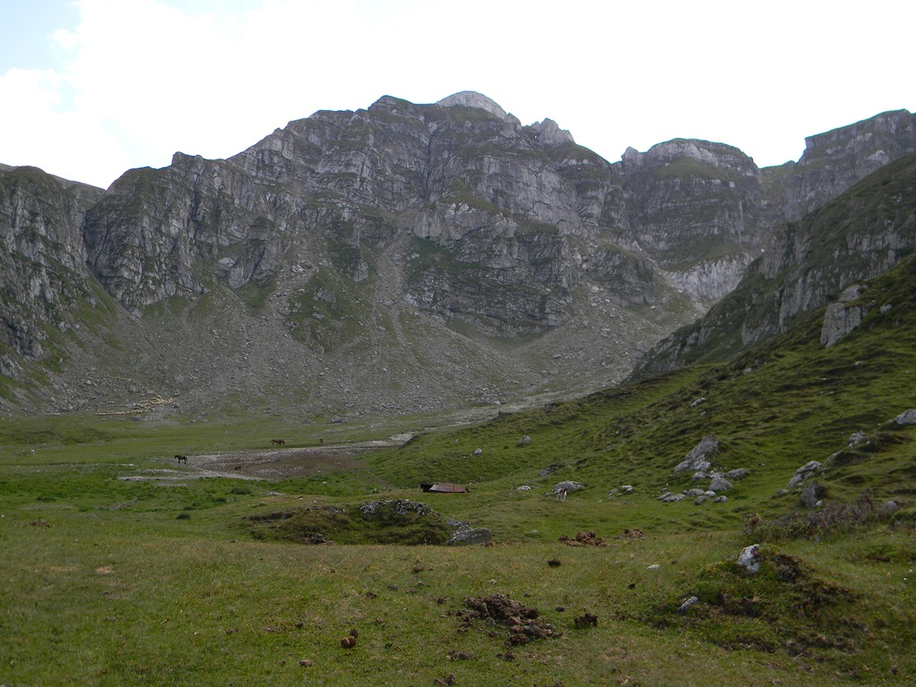 [DSCN39903.jpg]