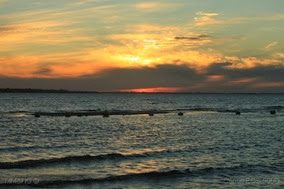 IMG_8105 IMG_8105