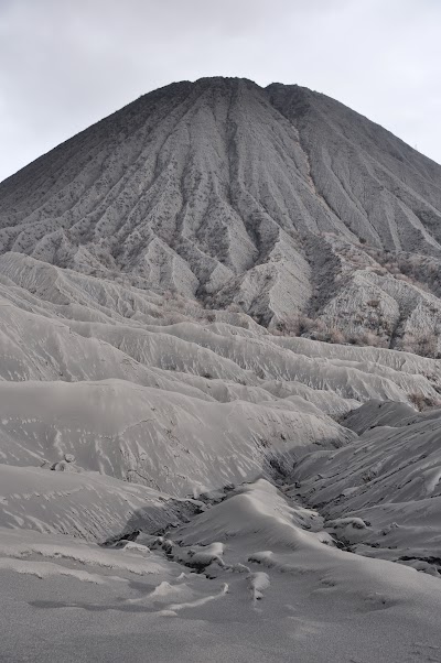 DSC_0615.jpg