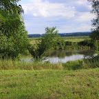 La Loire à Balbigny photo #404