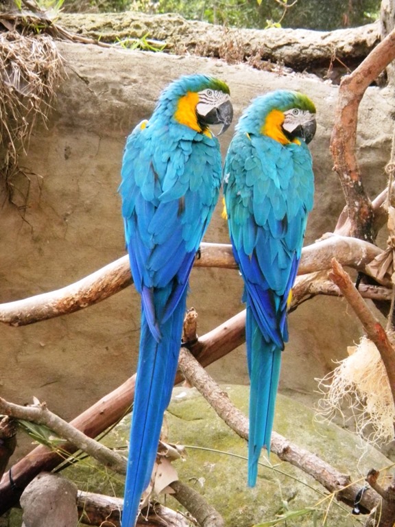 [DSCN5513%2520-%2520Kopie%255B4%255D.jpg]