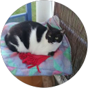 Image Google de Nathalie Lesueur