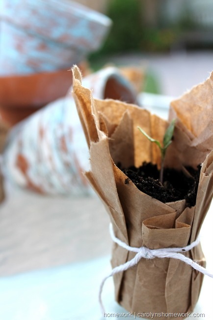 Brown Paper  Seedling Pots via homework | carolynshomework.com 