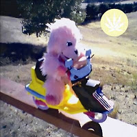 Everybody Loves Chris