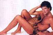 David Hasselhoff