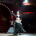 IMG_7240.jpg