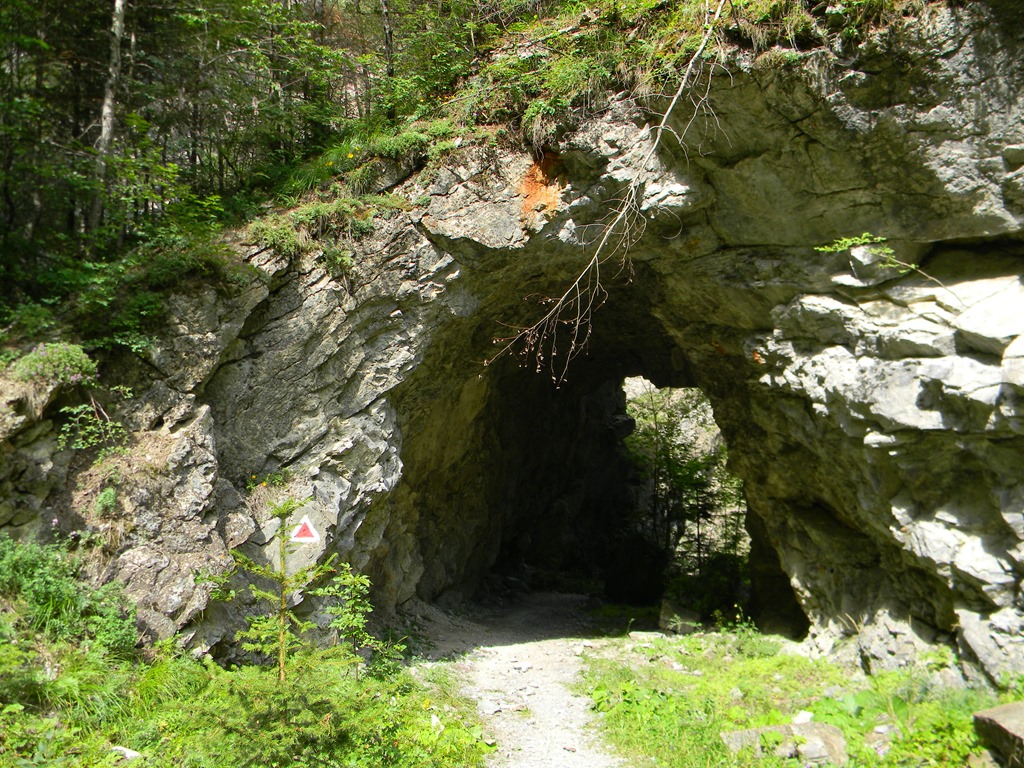 [DSCN41583.jpg]