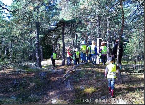 Skogutflyckt dagisgrupp