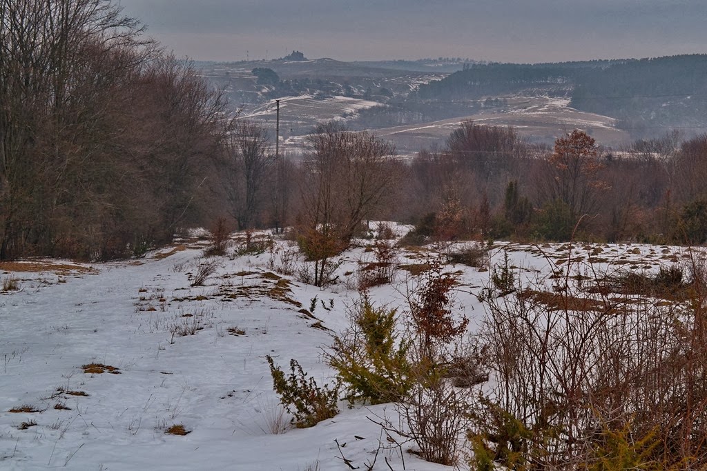 [DSC_18483.jpg]