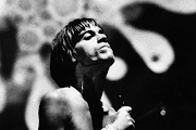 Iggy Pop