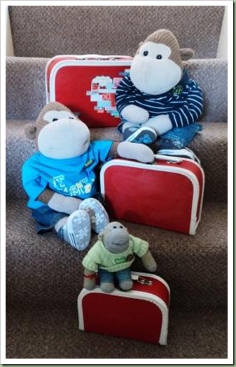 Suitcases packed for Brixham Holiday
