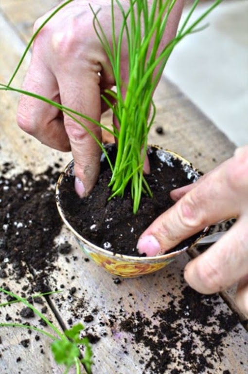 [clip_image0093.jpg]