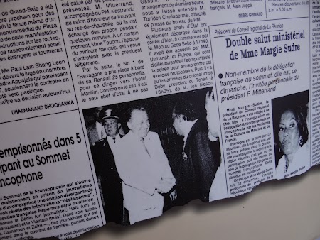 Iliescu in Mauritius