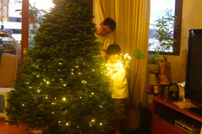IMG_7421.JPG IMG 7421