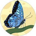 swapna thomas swapna thomas
