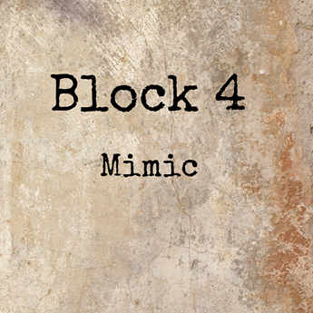 Block 4 - Mimic