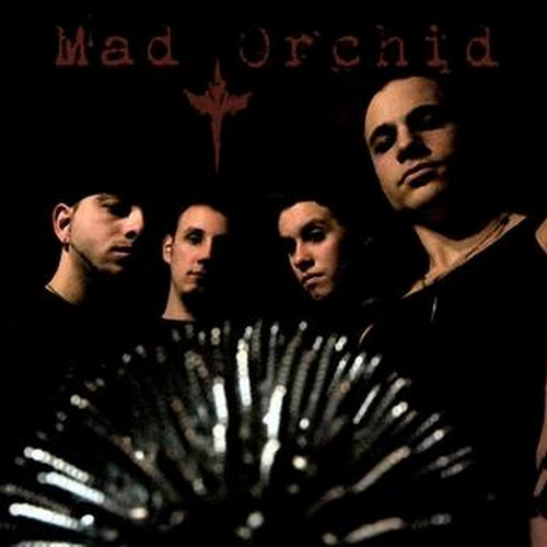Mad Orchid