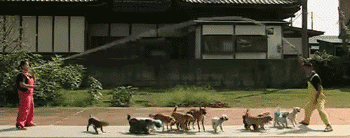 la-gam-27.gif