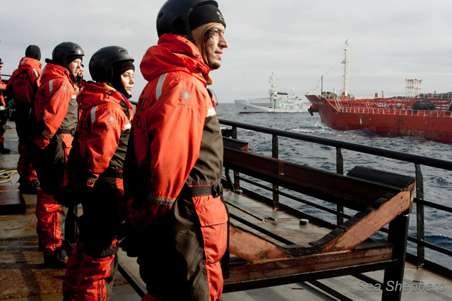 Proud service in Neptune's Navy: blockade by Sea Shepherd ships in Antarctica to stop the Nisshin Maru being refuelled by the Sun Laurel, 20 February 2013. Photo: Glenn Lockitch / Sea Shepherd