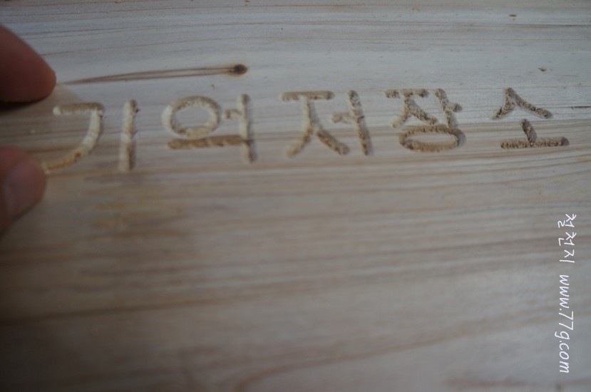 [DSC02413-20120531-1446355.jpg]