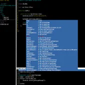 Terminal IDE