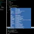 Terminal IDE2.02