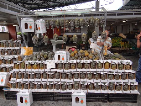 19. Ananas de Azore.JPG