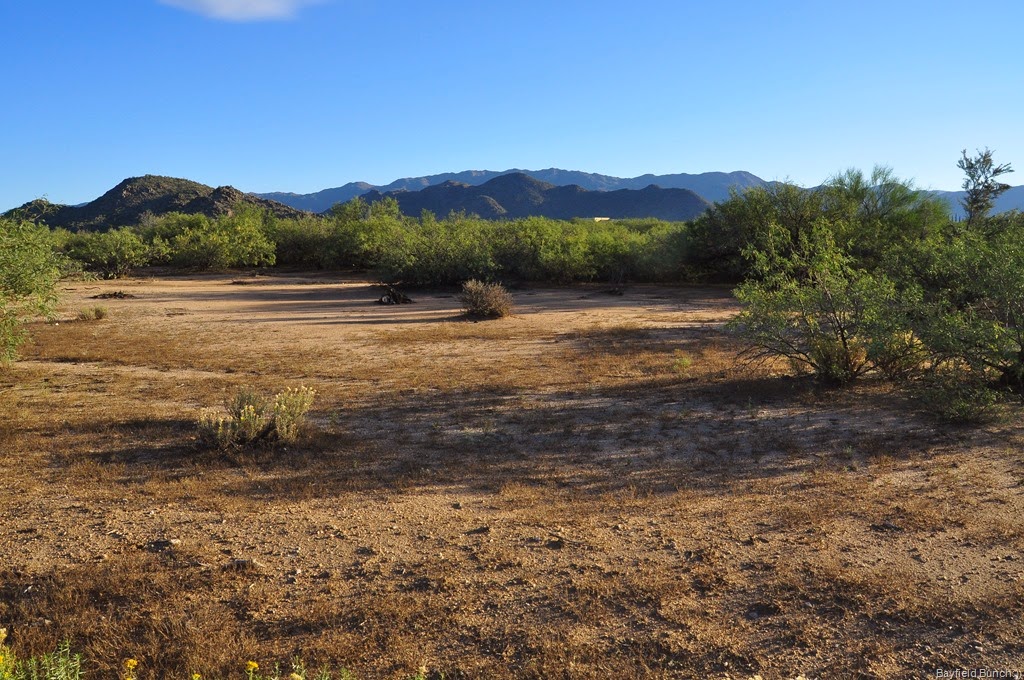 [DSC_0005%255B4%255D.jpg]